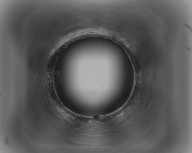 X0000097661496200803071520
