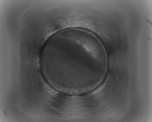 X0000097661497200803071520