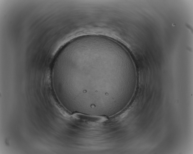 X0000097661498200803071520