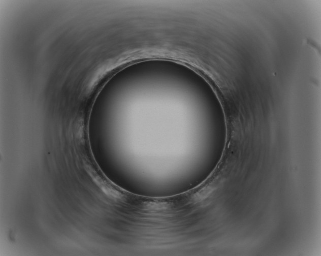 X0000097661499200803071520
