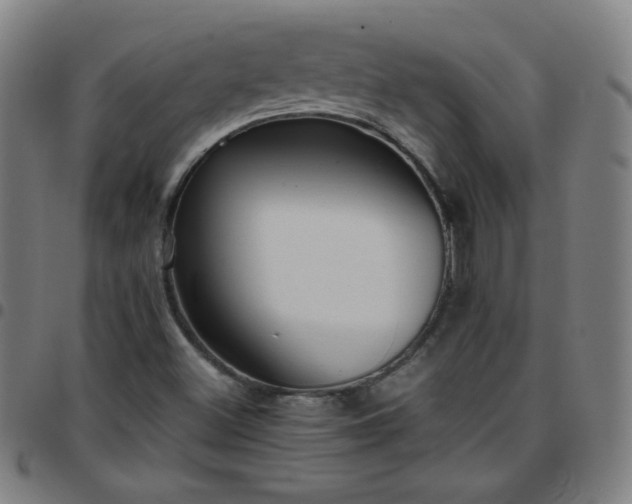 X0000097661500200803071520