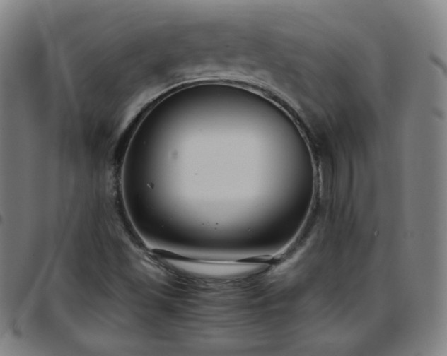 X0000097661501200803071520