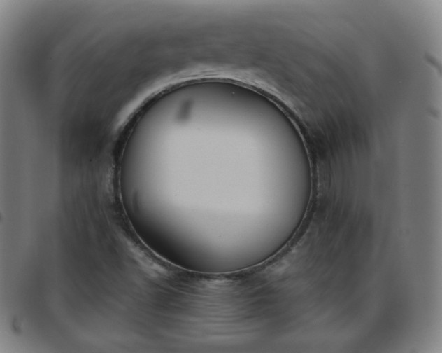 X0000097661502200803071520