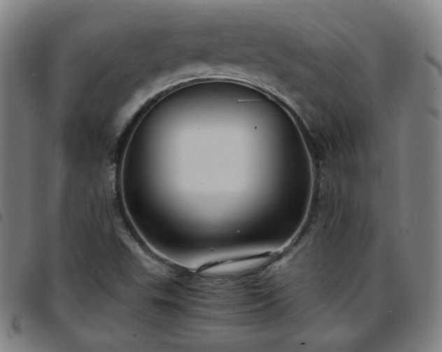 X0000097661503200803071520