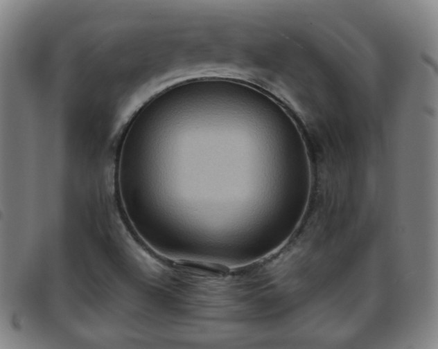 X0000097661504200803071520