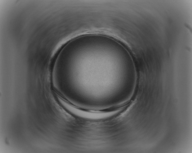 X0000097661506200803071520