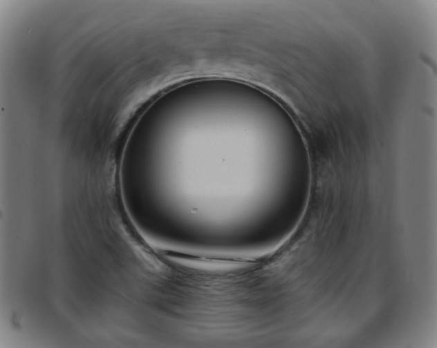 X0000097661507200803071520
