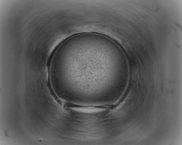X0000097661509200803071520