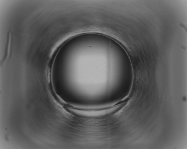 X0000097661510200803071520