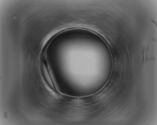 X0000097661511200803071520