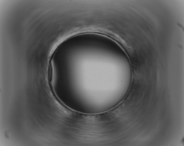 X0000097661512200803071520