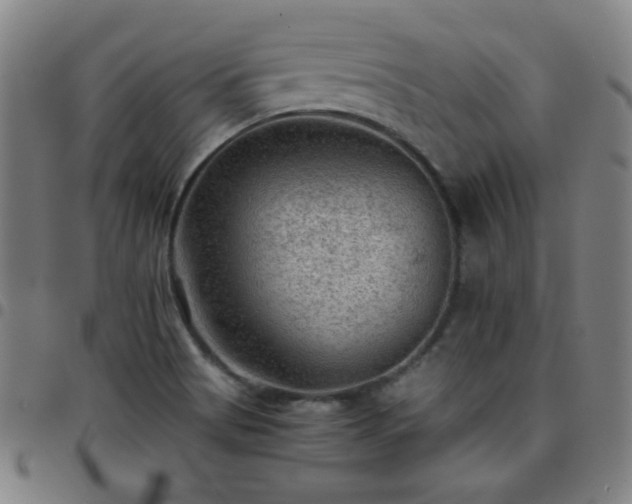 X0000097661513200803071520