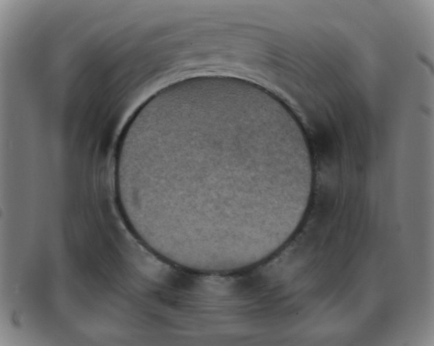 X0000097661514200803071520