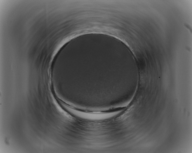 X0000097661515200803071520