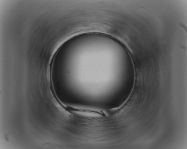 X0000097661516200803071520
