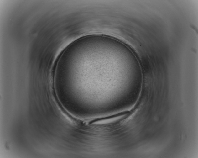 X0000097661517200803071520