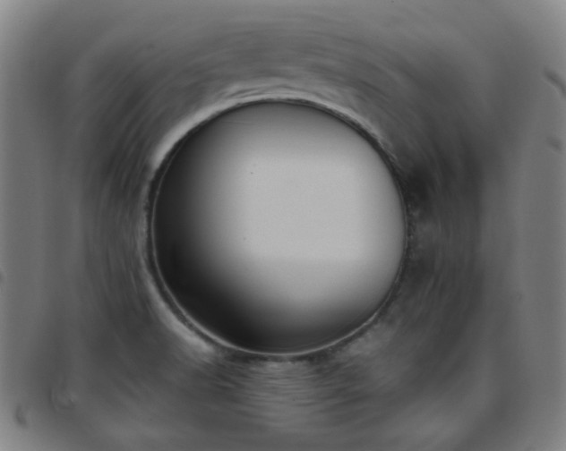 X0000097661518200803071520