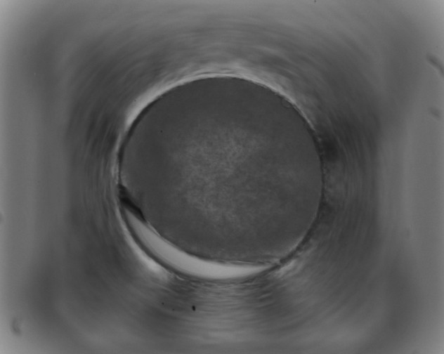 X0000097661519200803071520