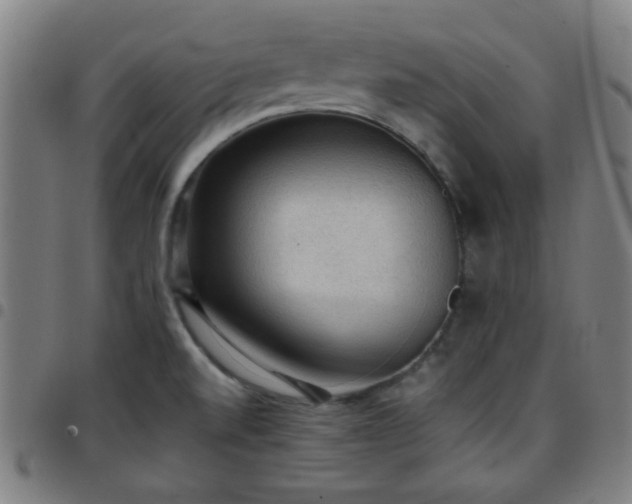X0000097661520200803071520
