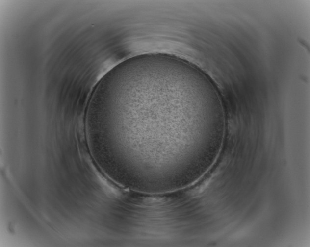X0000097661521200803071520