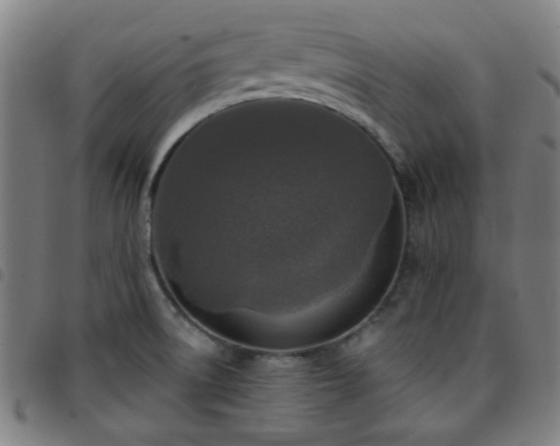X0000097661522200803071520