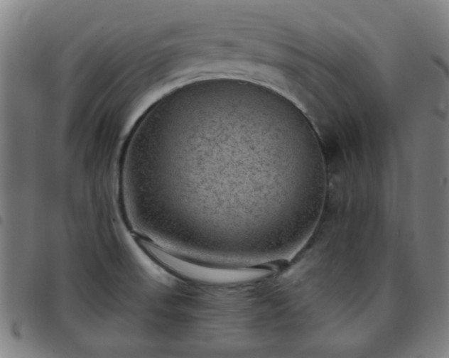 X0000097661523200803071520