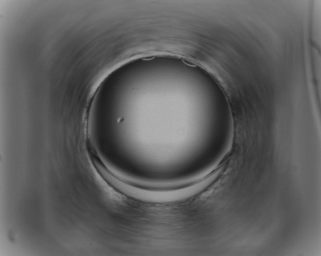 X0000097661524200803071520