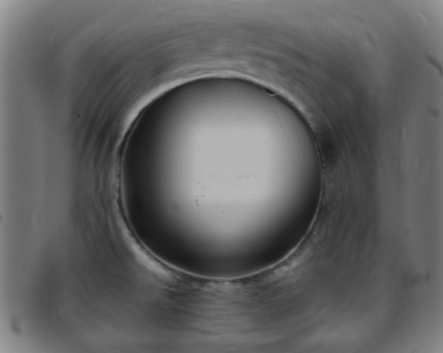 X0000097661526200803071520