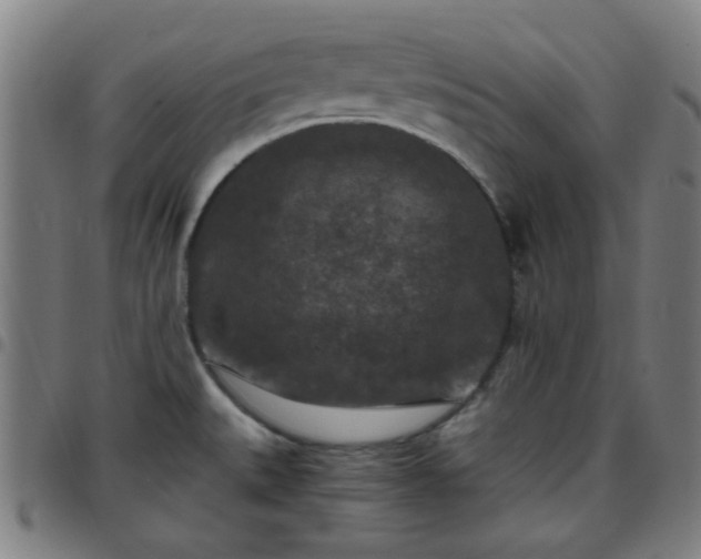 X0000097661527200803071520