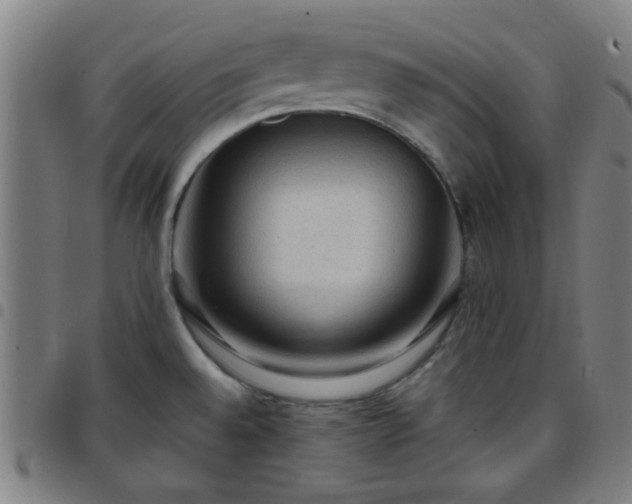 X0000097661528200803071520