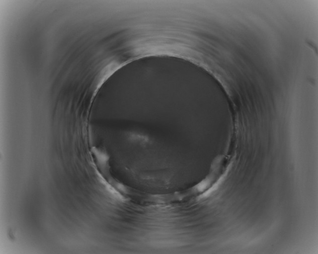 X0000097661529200803071520