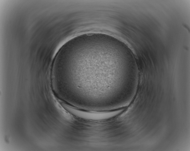 X0000097661530200803071520
