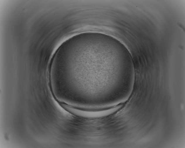 X0000097661531200803071520