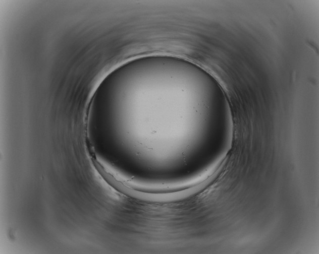 X0000097661532200803071520