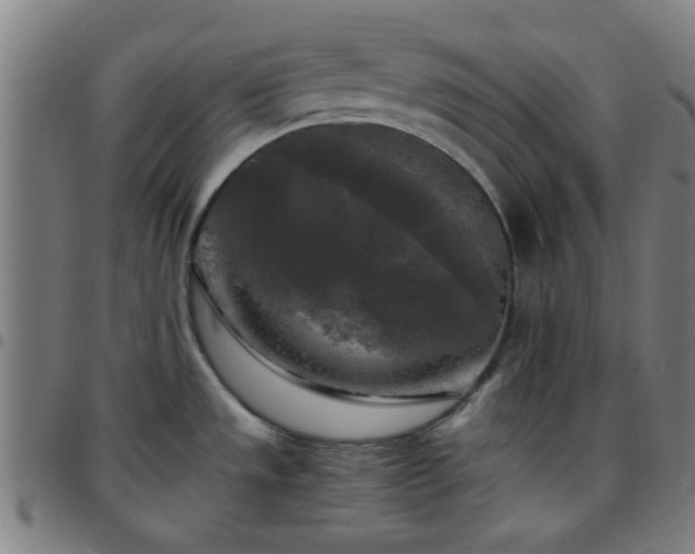 X0000097661533200803071520