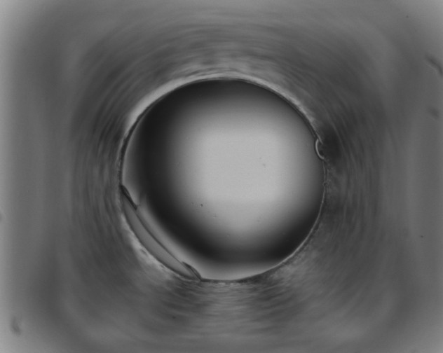 X0000097661534200803071520