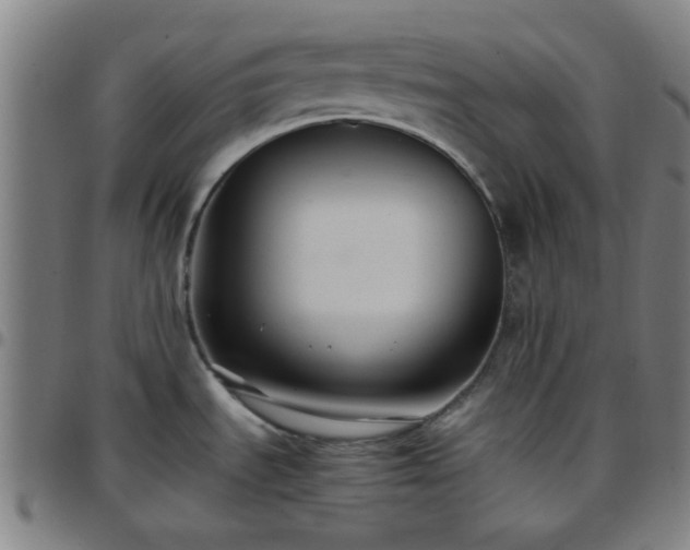 X0000097661535200803071521