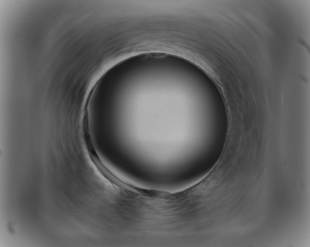 X0000097661536200803071521