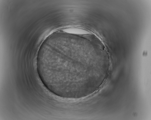 X0000097660002200803142143