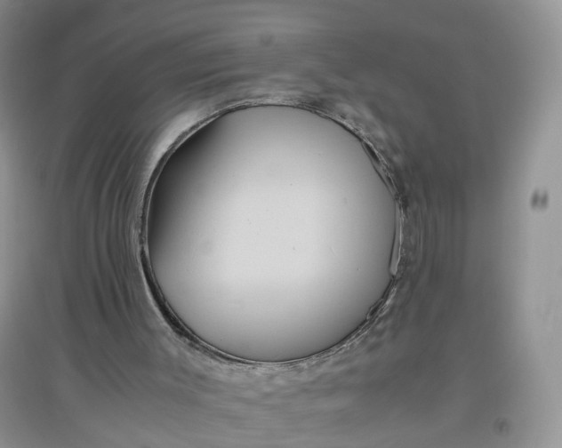 X0000097660003200803142143