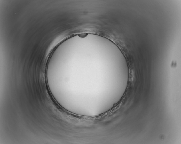 X0000097660004200803142142