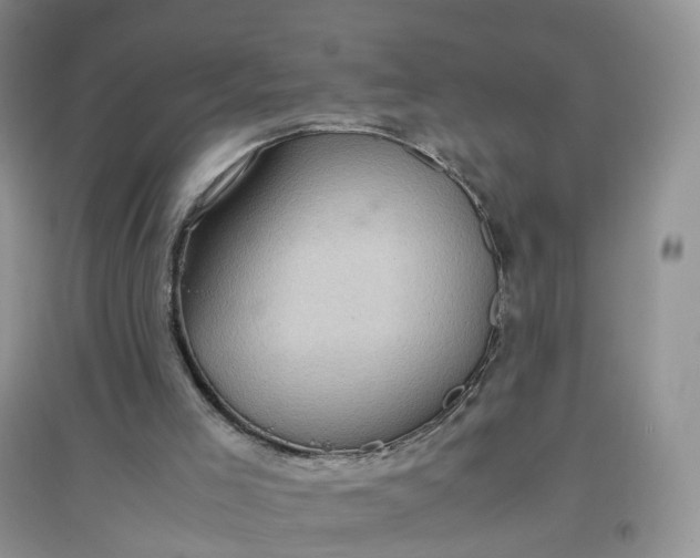 X0000097660005200803142142