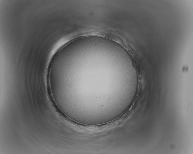 X0000097660006200803142142
