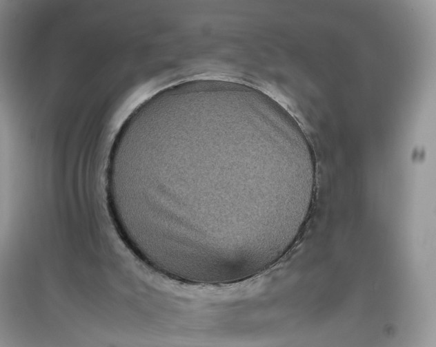 X0000097660007200803142142