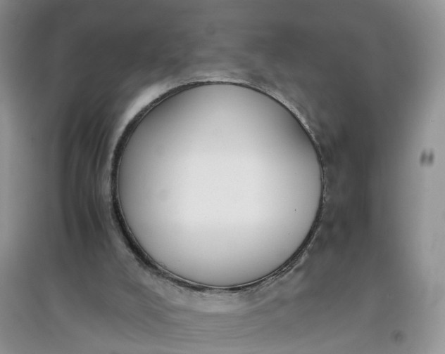 X0000097660008200803142142