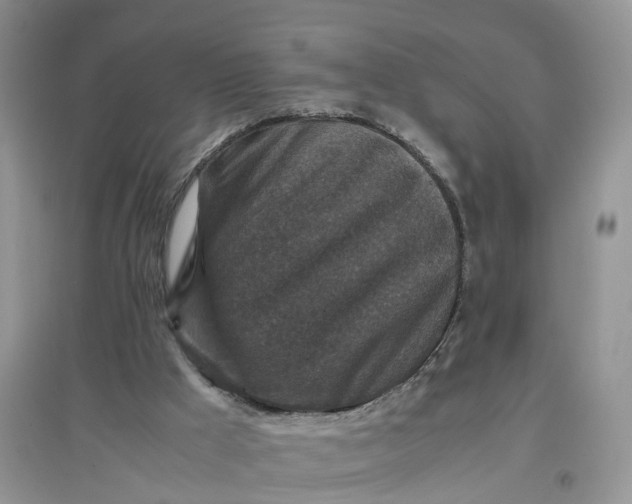 X0000097660009200803142142