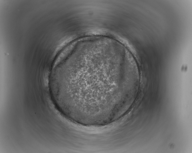 X0000097660010200803142142
