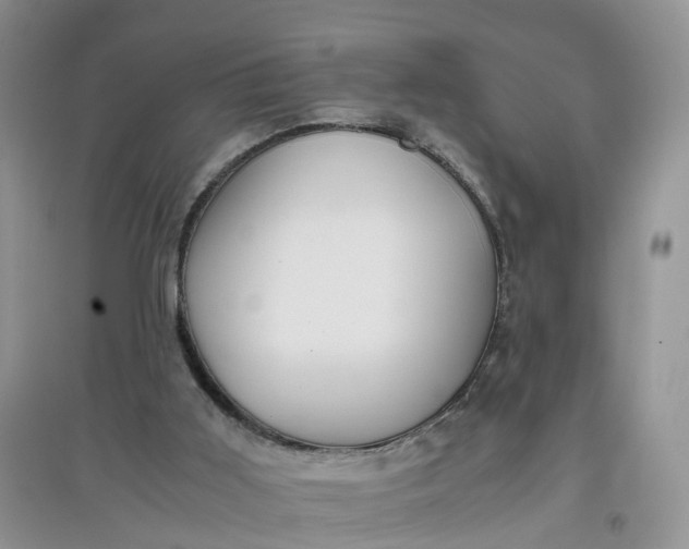 X0000097660011200803142142