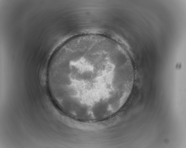 X0000097660012200803142142