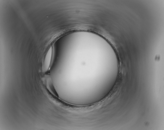 X0000097660013200803142142